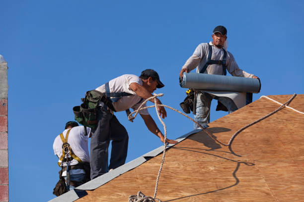 Roof Gutter Cleaning in Boone, NC